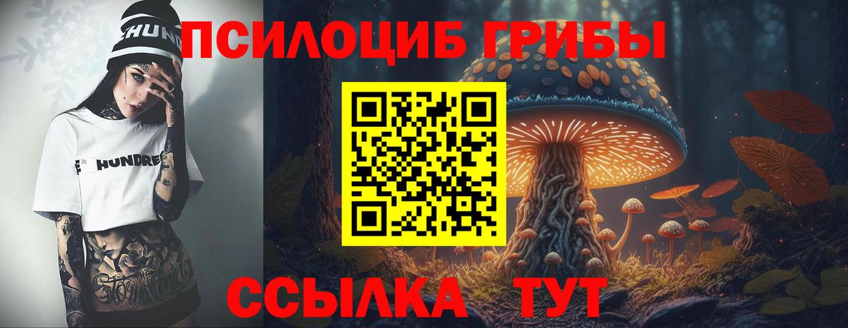 Полысаево  Псилоцибиновые грибы ЛСД  Псилоцибиновые грибы прущие грибы  Вход с VPN 