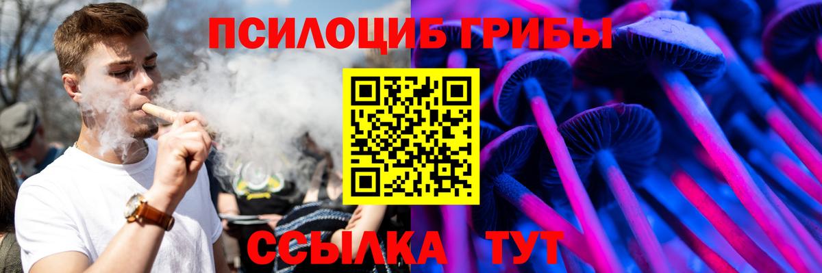 Псилоцибиновые грибы Magic Shrooms Полысаево